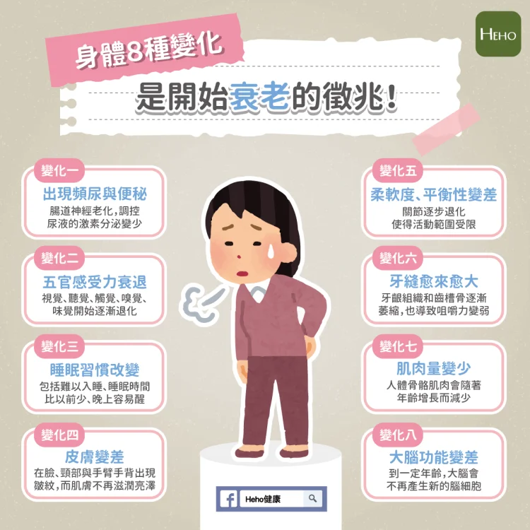1776664317185153.webp