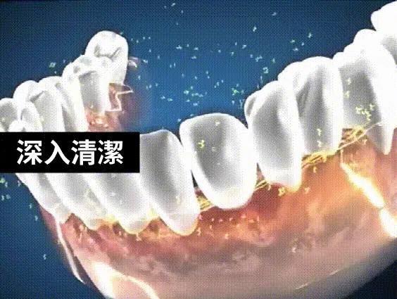 1776842224475905.webp