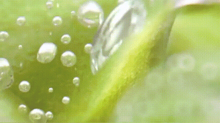 1777541641886581.gif